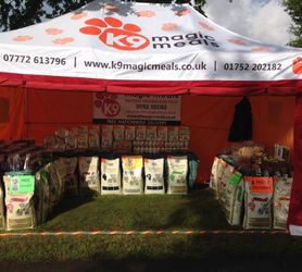 Can’t Trade All Year Round? | Year-Round Gazebo Solutions by Gala Tent image