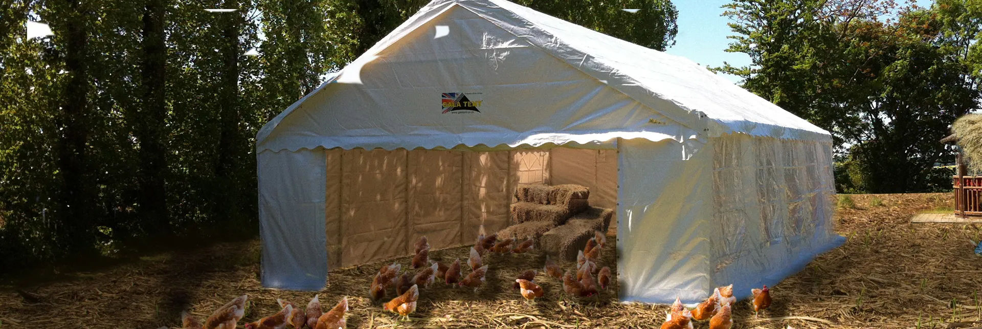 Scouting tent