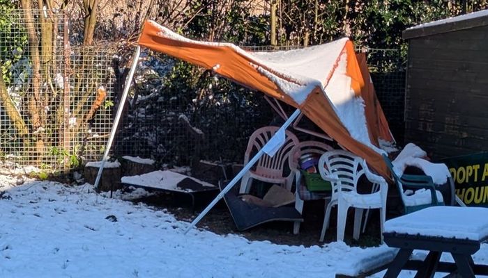 The True Cost of Cheap Imported Marquees image