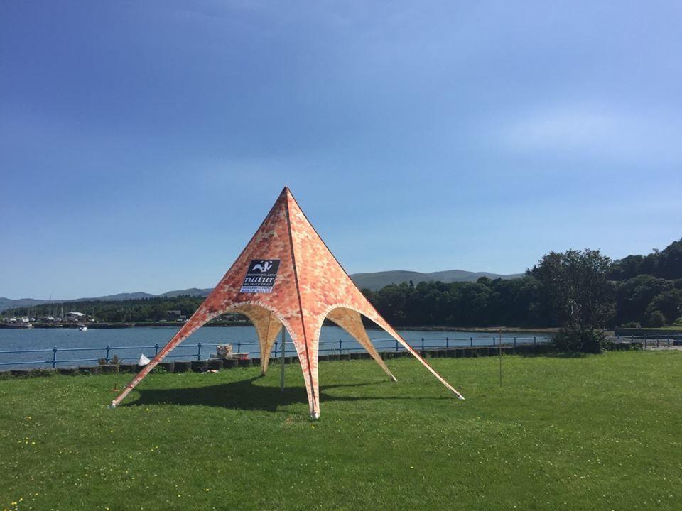 star fish decorated star shade tent