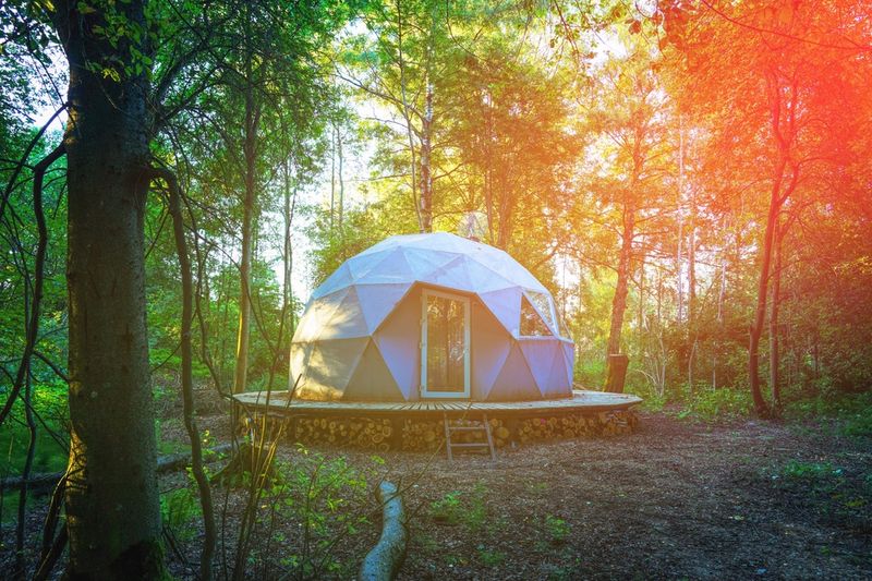 Glamping dome in a forest clearing