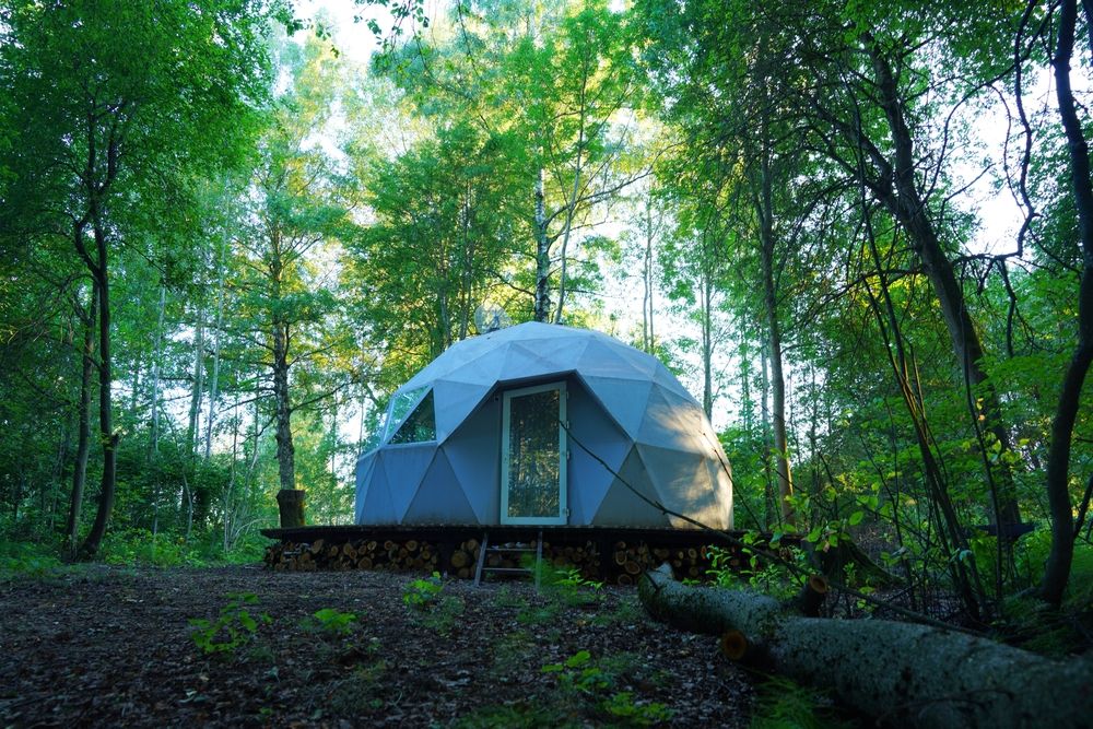 geodesic dome in forest