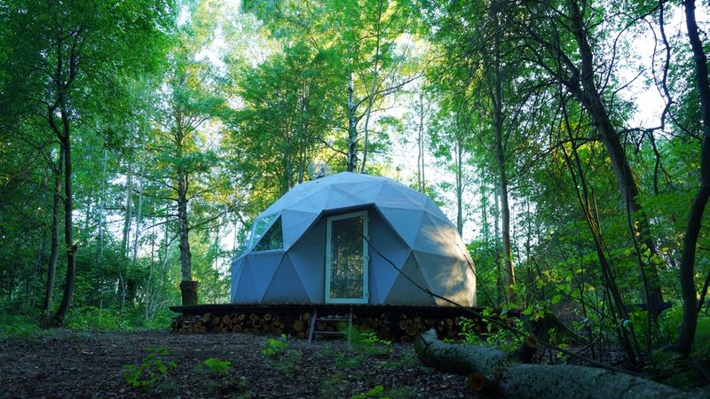 Glamping dome among trees