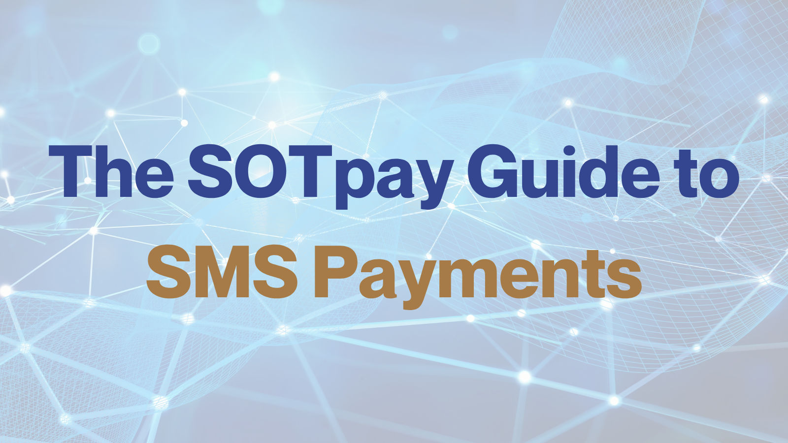 sms payments guide