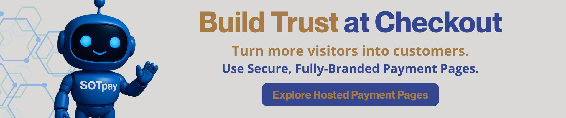 hosted payments page banner