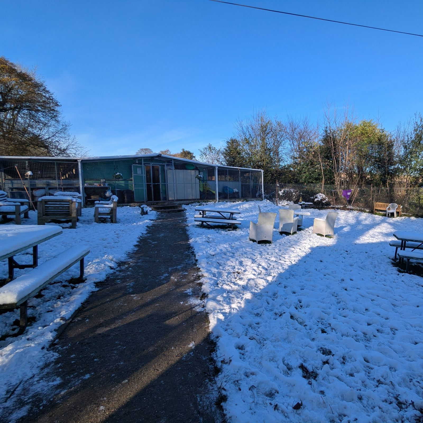 Sheffield retired greyhounds premises