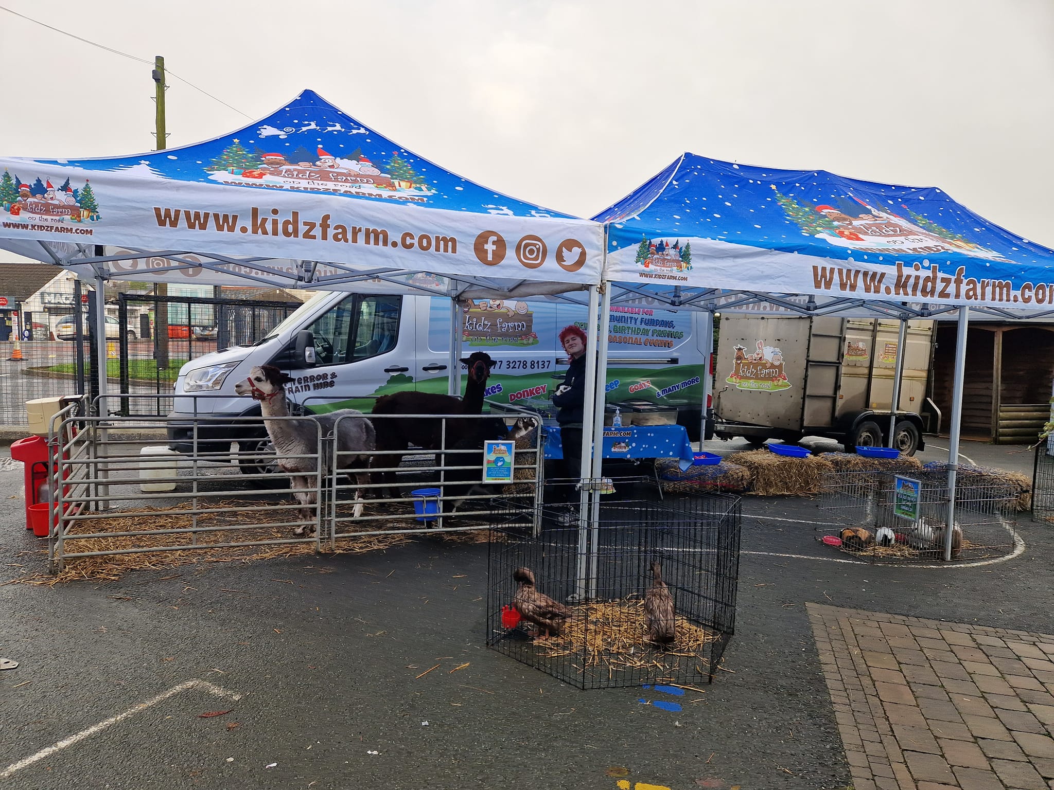 a branded gazebo covers some animals for a tourist attraction