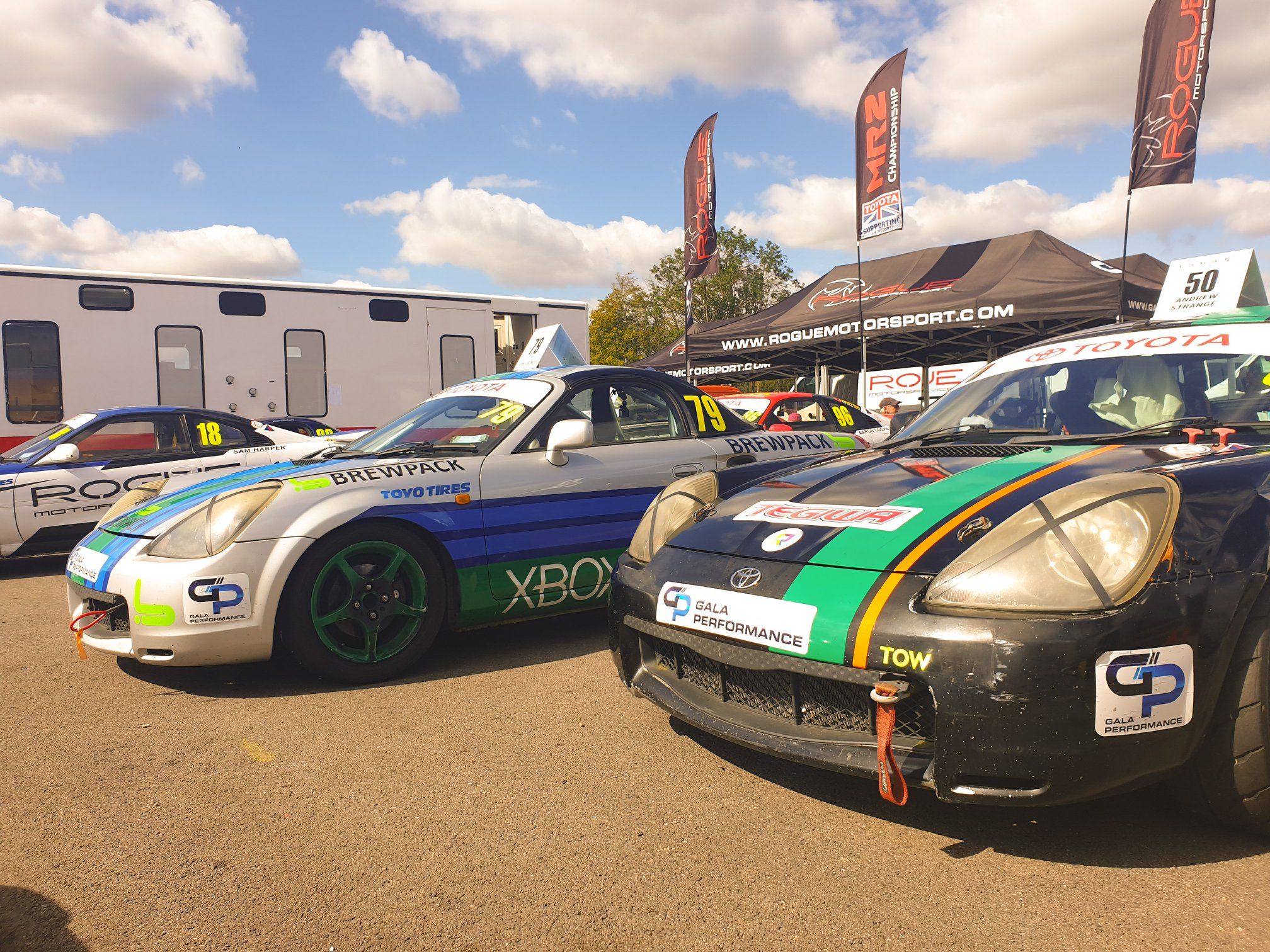 flags at race paddock