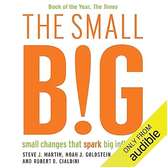 Book cover for The Small Big