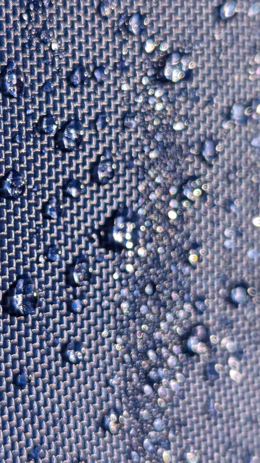 water droplets beading on a gazebo canopy, close up