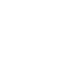 Graves Motorsport