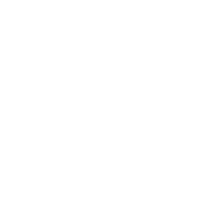 Optimum Motorsports