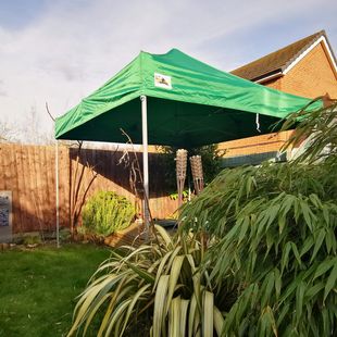 Pro DX Gazebo