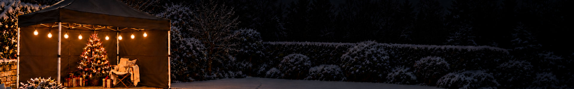 Globe Lights at Christmas
