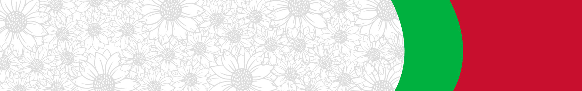 Happy St David's Day