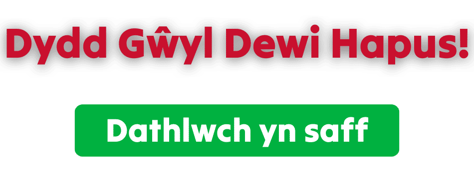 Happy St David's Day