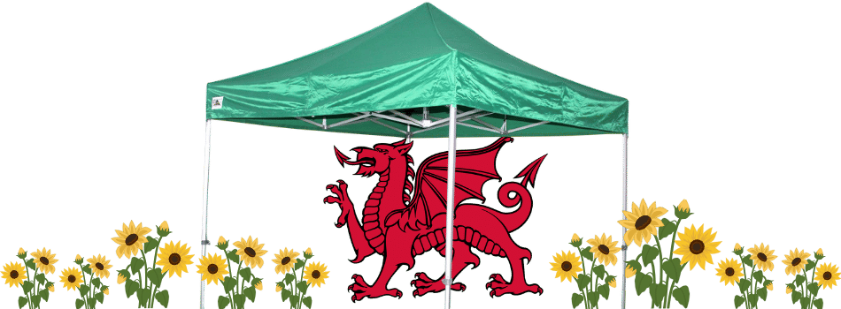 Happy St David's Day