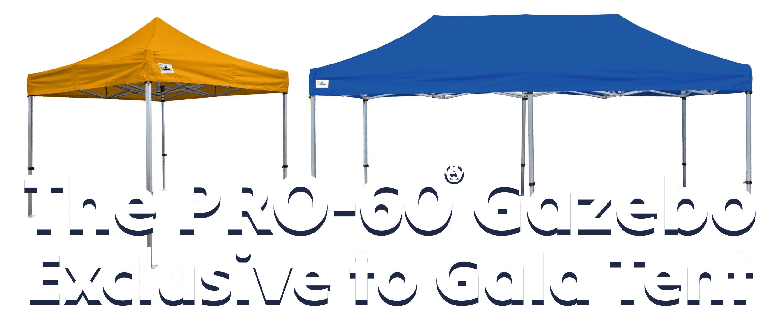 pro 60 offers february