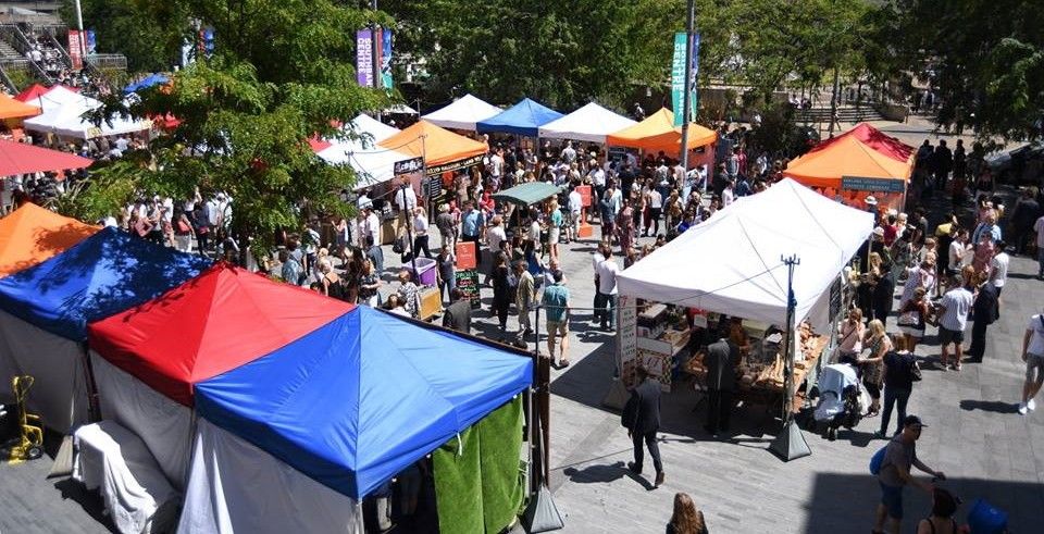 Pawesome Paws gazebo