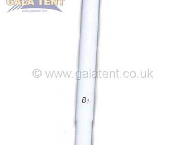 The Gala Performance Team