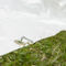 Buy 6m x 12m Gala Tent Elite Marquee PVC - Large Event Tents for Small Gatherings Gallery image 18
