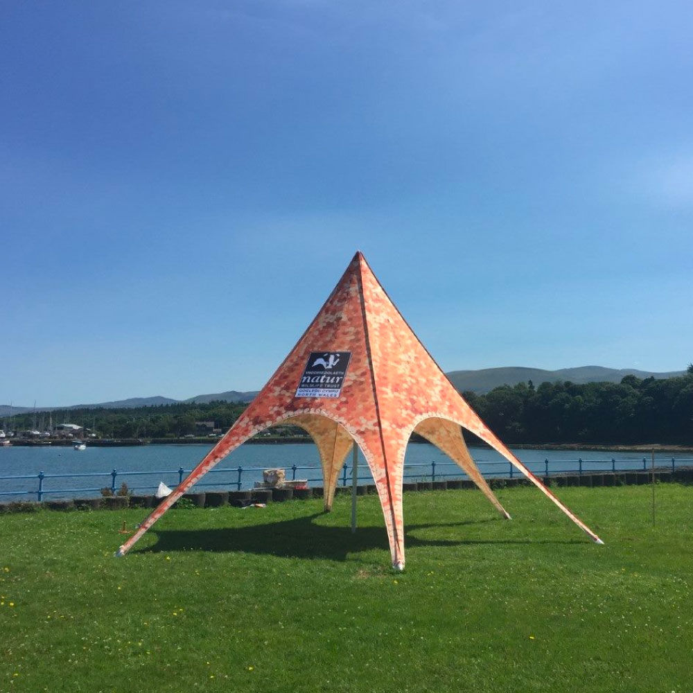 Buy 6m Printed Commercial Pro Star Tents