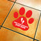 Social Distancing Floor Stickers (Pack of 4) Gallery image 13
